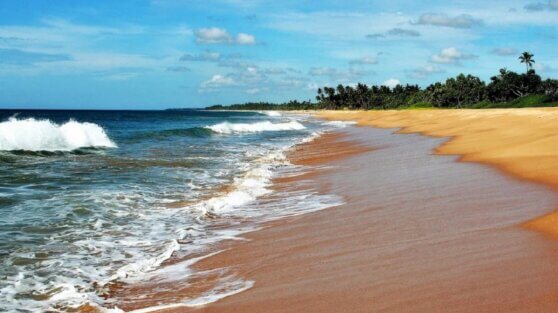 Россияне захотели массово улететь на популярный курорт