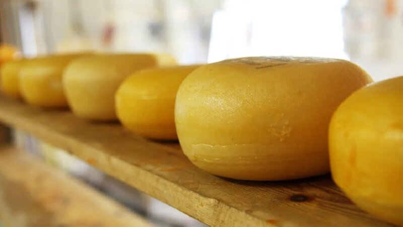 сыр на полке