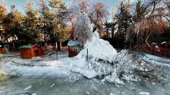 В Анкаре фонтан превратился в айсберг из-за морозов