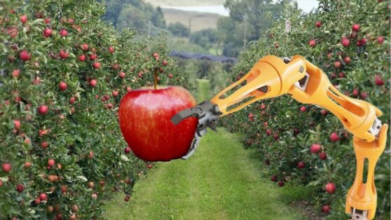 Ученые научили роботов собирать урожай