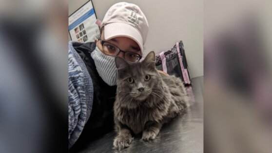 Пользователи соцсетей собрали $9 тысяч на лечение тяжелобольного кота Пользователи соцсетей собрали $9 тысяч на лечение тяжелобольного кота