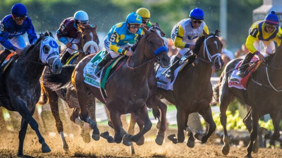 Британец сорвал куш на скачках и решил купить свою скаковую лошадь Британец сорвал куш на скачках и решил купить свою скаковую лошадь