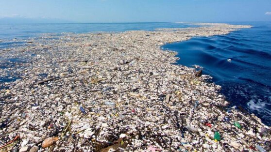 Морские обитатели нашли применение гигантскому острову из мусора