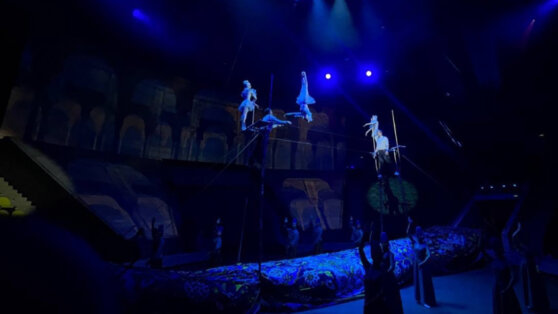 В российском цирке гимнастка упала с высоты трех метров