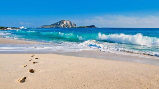 Женщина отбилась от укусившей ее акулы и снова пошла купаться