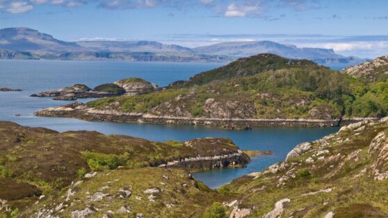 Влюбленным предложили вакансию мечты на изолированном от людей острове Влюбленным предложили вакансию мечты на изолированном от людей острове