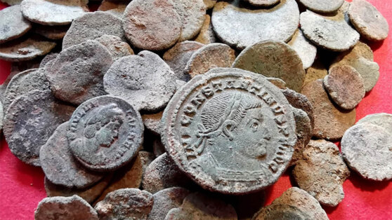 Барсук случайно разрыл клад из древних монет