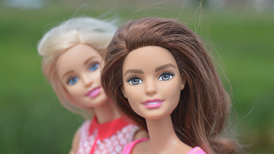 Москвичка купила элитные апартаменты для кукол Барби