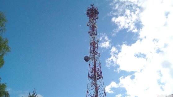 В Псковской области украли часть вышки сотовой связи, которая весит 2,5 тонны