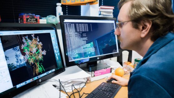 Ученые научились управлять растениями с помощью компьютера