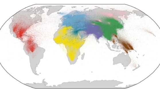 Ученые составили самое полное генеалогическое древо человечества