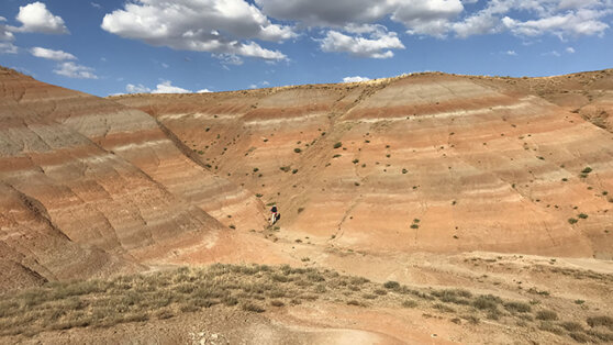 Геологи нашли следы исчезнувшего мини-континента