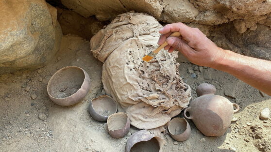 В Перу ученые нашли мумии детей, которых принесли в жертву более тысячи лет назад