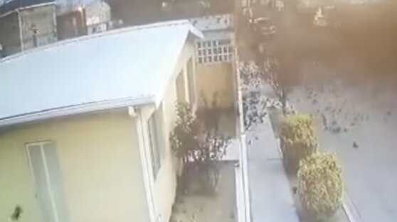 В Мексике стая пролетавших птиц внезапно упала замертво В Мексике стая пролетавших птиц внезапно упала замертво