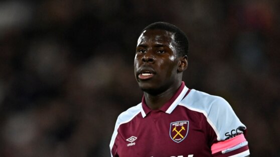 На футболиста «Вест Хэма» завели дело за избиение кота