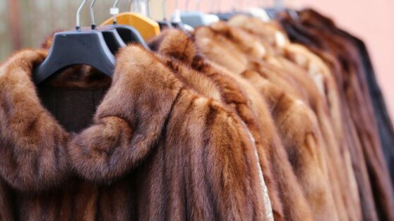 Россиянка похитила больше 60 норковых шуб и сдала их в ломбард