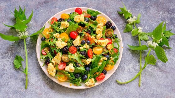 Рецепт салата с сыром, щавелем, помидорами и ягодами