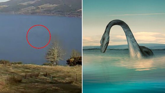 Загадка Лох-Несского чудовища: новые научные данные о его происхождении