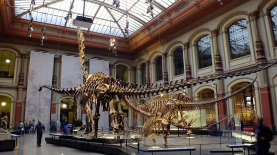 Российские музеи вошли в топ-3 самых посещаемых в мире