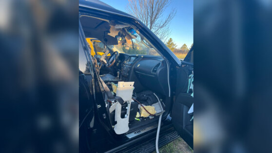 Медведь взломал машину ради блеска для губ