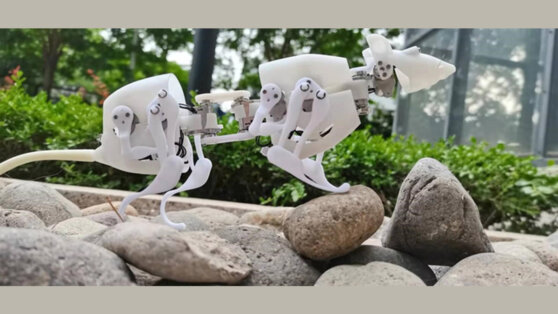 В Китае сделали робота-крысу с уникальными способностями