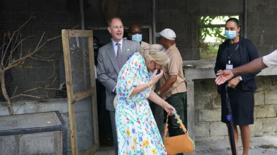 Британскую графиню атаковал попугай