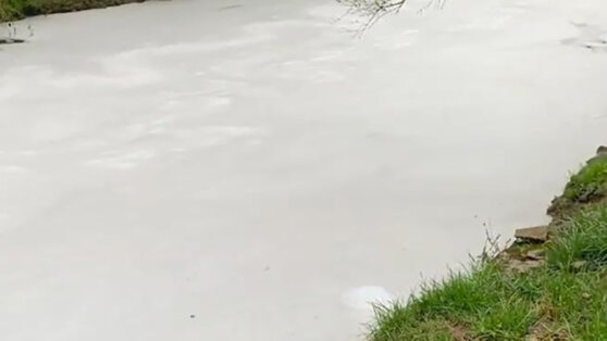 Шампунь для собак попал в ручей и превратил его в пенную ванну