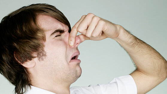 Браконьера выдал резкий запах из автомобиля