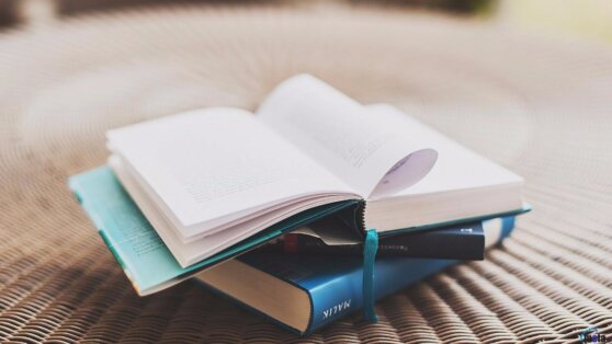 Новая жизнь старых друзей: куда деть ненужные книги