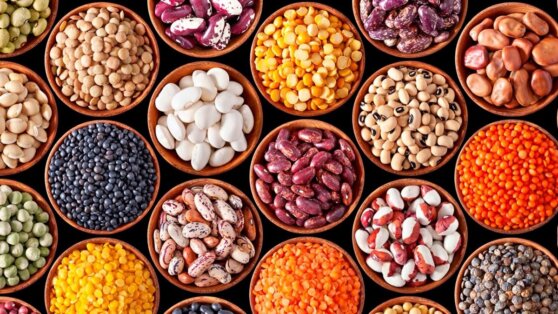 Врач объяснила, зачем замачивать бобы и орехи перед едой