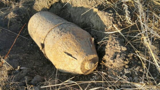 Жители Подмосковья обнаружили в лесу мины времен ВОВ
