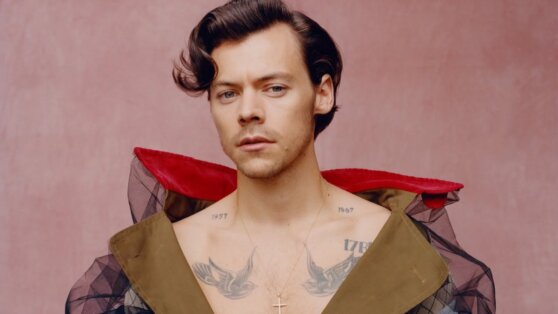 Гарри Стайлз доминирует в чартах Гарри Стайлз доминирует в чартах