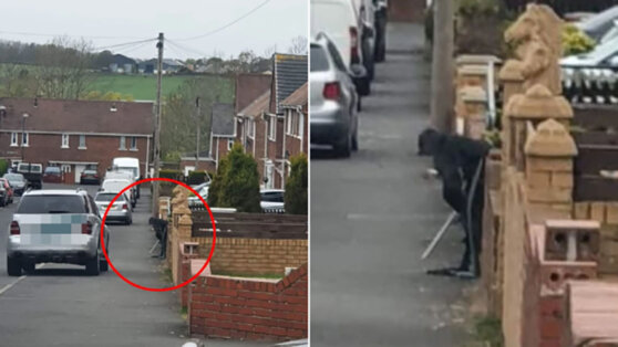 Старый батут приняли за уставшего мужчину с тростью