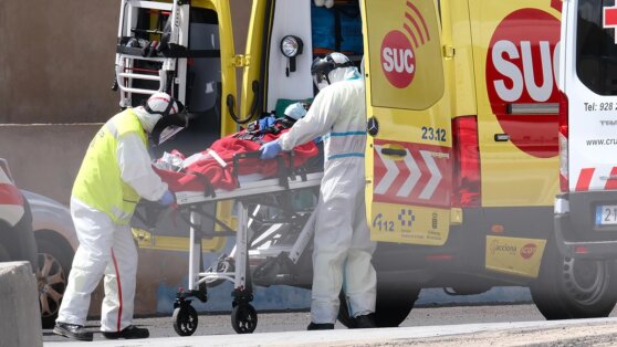 Мясников рассказал об условиях заражения оспой обезьян