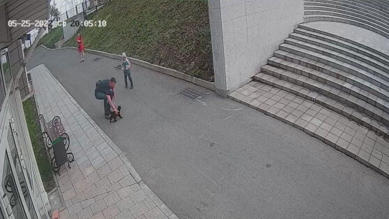 Объявлен в розыск музейный кот Вася Объявлен в розыск музейный кот Вася