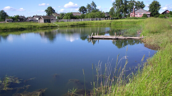 Врач предупредил о риске подхватить гепатит при купании