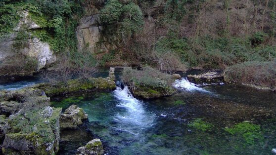 Гастроэнтеролог объяснила опасность родниковой воды