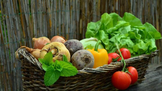Гастроэнтеролог назвала продукты для поддержания здоровья кишечника Гастроэнтеролог назвала продукты для поддержания здоровья кишечника