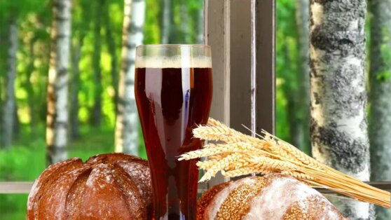 Фермер объяснил, как выбрать качественный квас