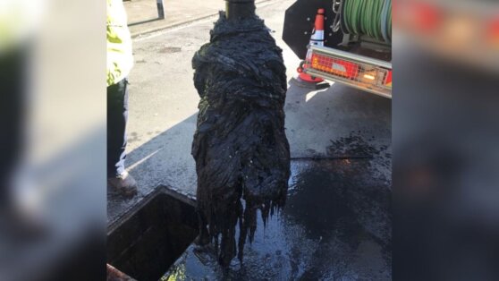 Мутантные «жирберги» из салфеток наступают на британцев