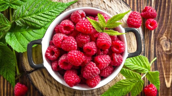 Эндокринолог рассказал, какая ягода поможет похудеть