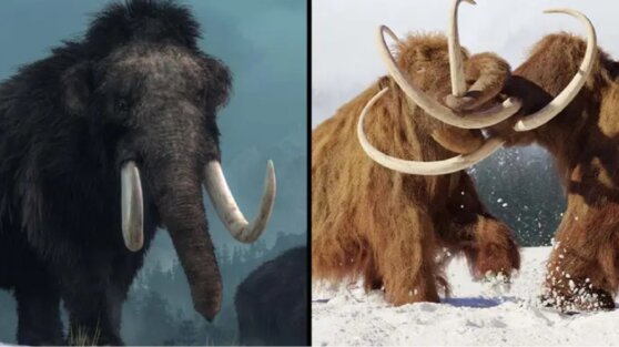 Ученые решили создать реальный «Парк Юрского периода» с мамонтами