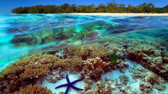 В Австралии восстановили «восьмое чудо света»