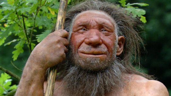 Ученые выявили главное отличие мозга неандертальца от современных людей