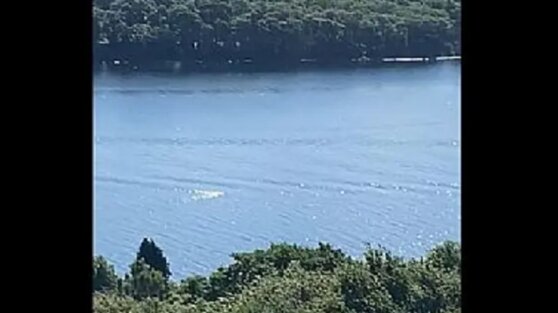Лох-Несское чудовище «заметили» плавающим в течение семи минут