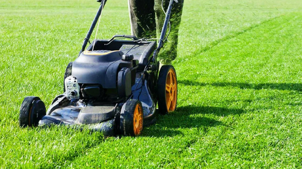 Австралиец погиб под собственной газонокосилкой