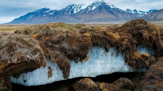Биолог рассказала об опасностях, скрытых в вечной мерзлоте Биолог рассказала об опасностях, скрытых в вечной мерзлоте