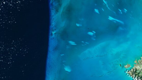 У Багамских островов заметили необычные белые пятна