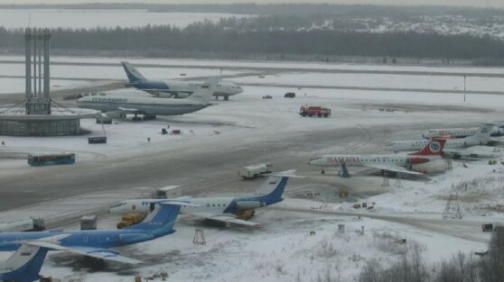 Россиянке после рейса пришлось искать свою собаку в полях возле аэропорта