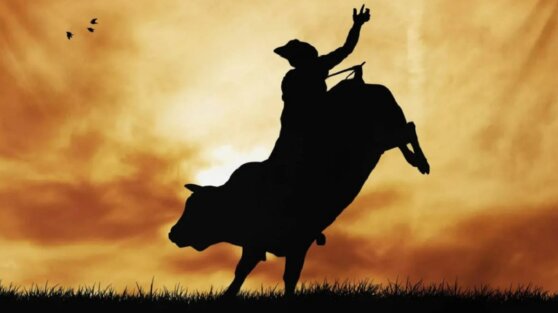 Бык на первом же родео убил 14-летнего наездника